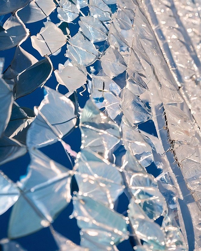 Translucent Crystal Leaflets and Woven Wire Against Deep Azure Skies