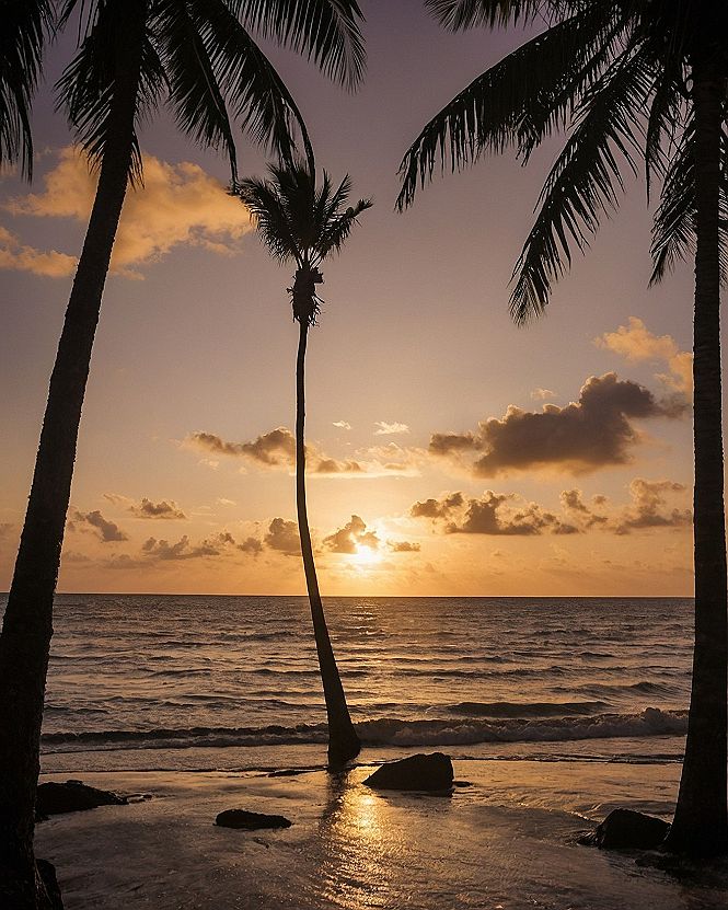 Choosing Tropical Sunset Wallpapers for Your Screen