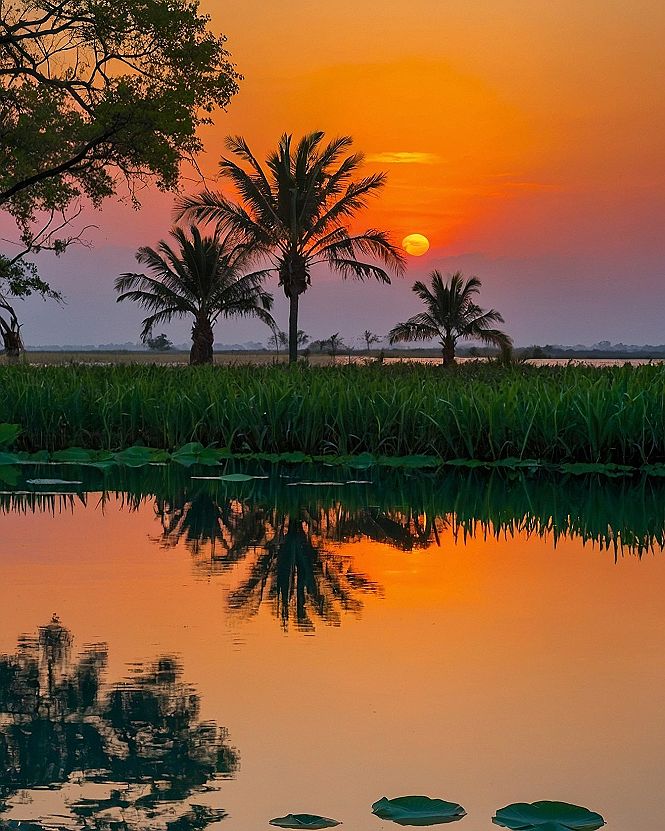How to Choose Palm Tree Sunset Art for Your Home