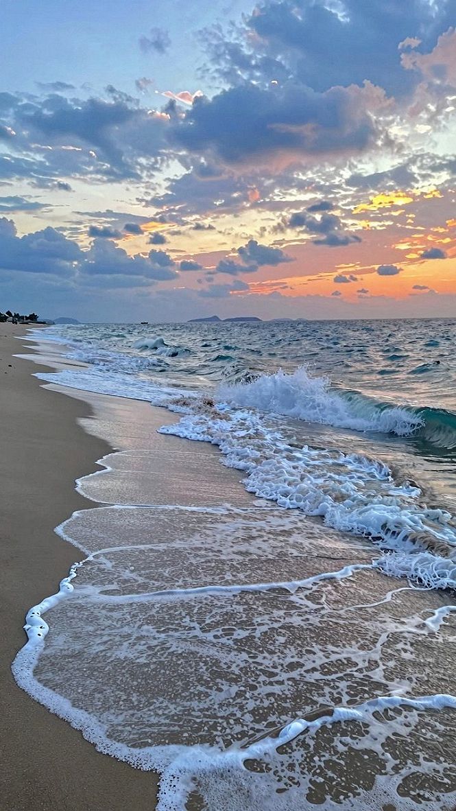 Choosing Tropical Sunset Floral Phone Wallpapers