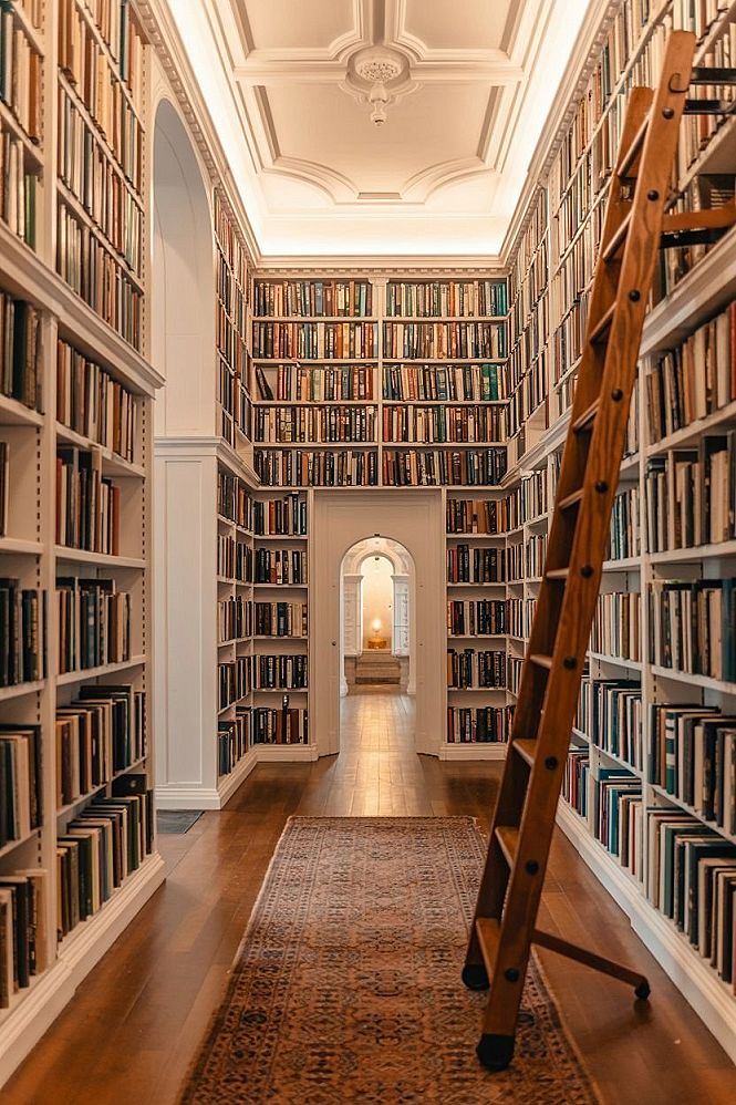 Luxury Home Library Designs: Dark Academia House Interior Sanctuary