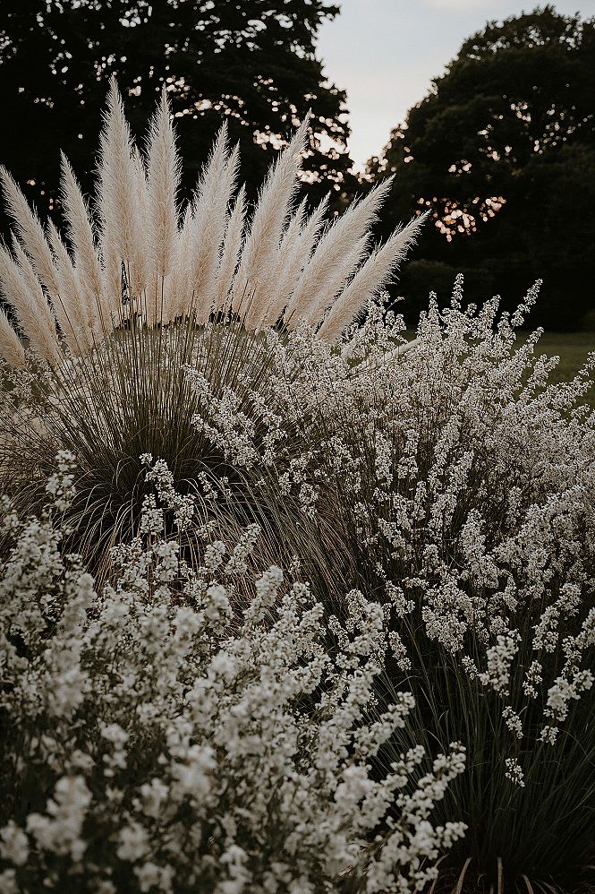 Front Garden Landscape: Stunning Flowers & Grasses Landscaping Ideas