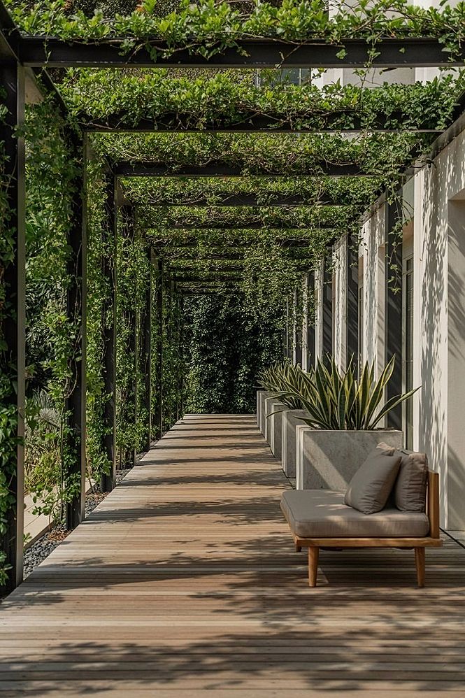 Lush Courtyard Garden: Private Outdoor Space & Yard Design