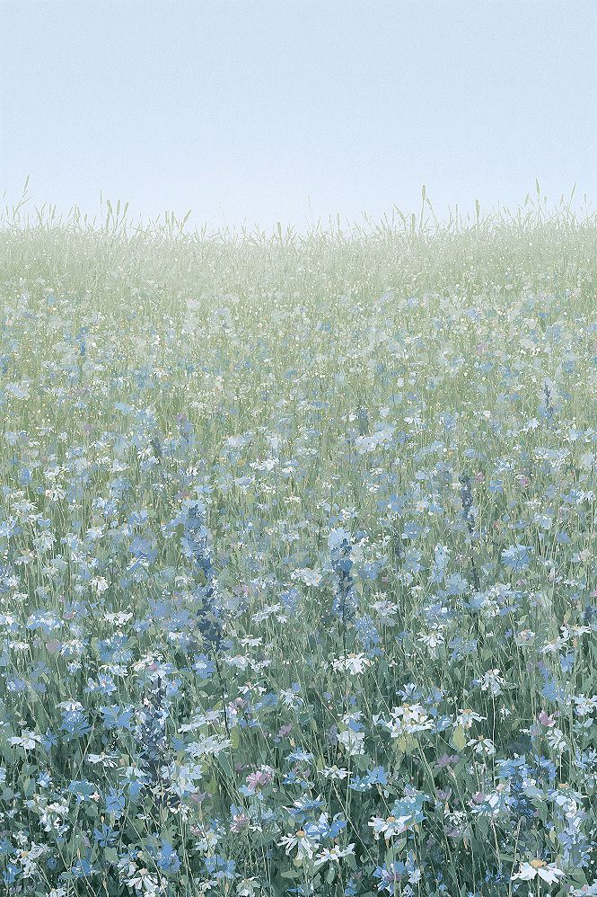 Spring Flowery Field Wallpaper: Tranquil Blue & White Blooms