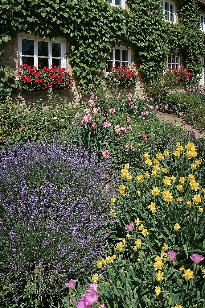 How to Start a Cottage Garden: Enchanting English Design & Container Flowers