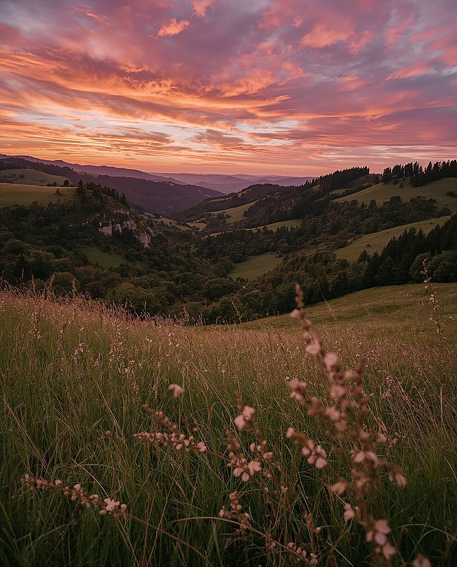 Vibrant Landscape Sunset Wallpaper: Unforgettable Scenic View