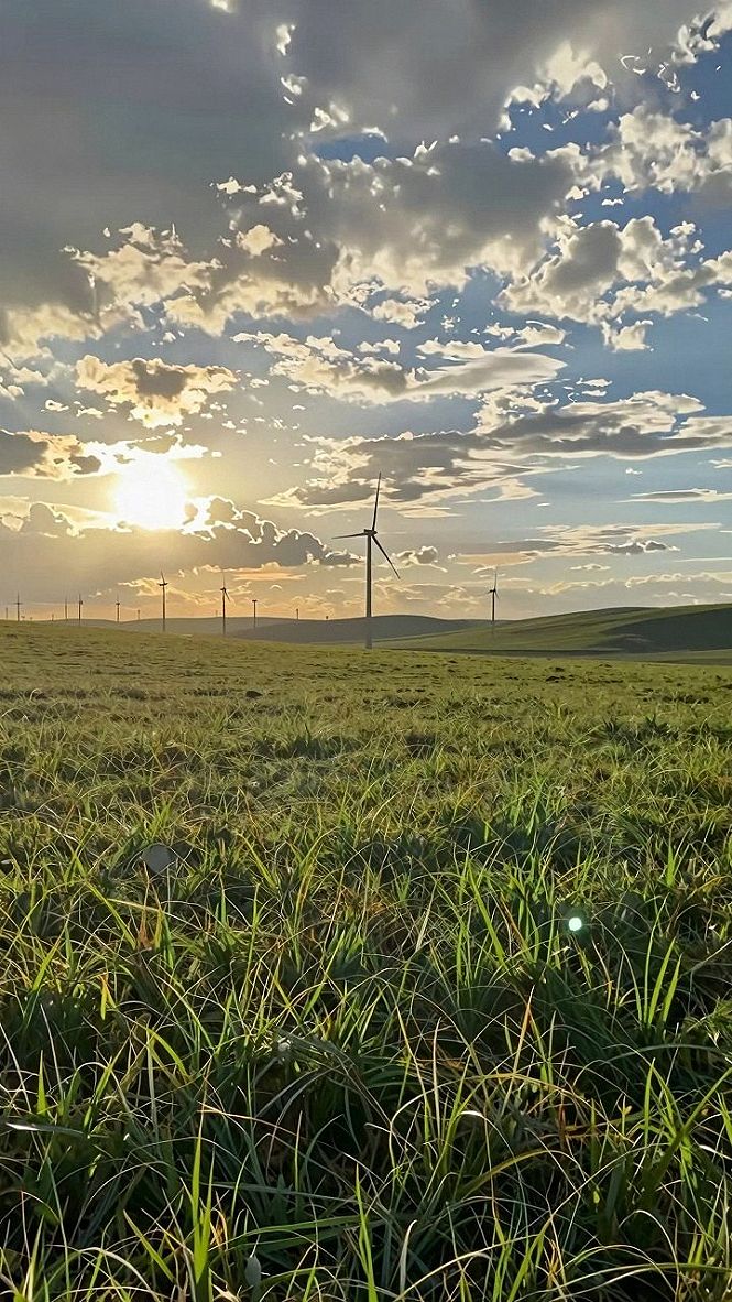 Maintaining Crisp Resolution on Windmill Horizon Wallpapers