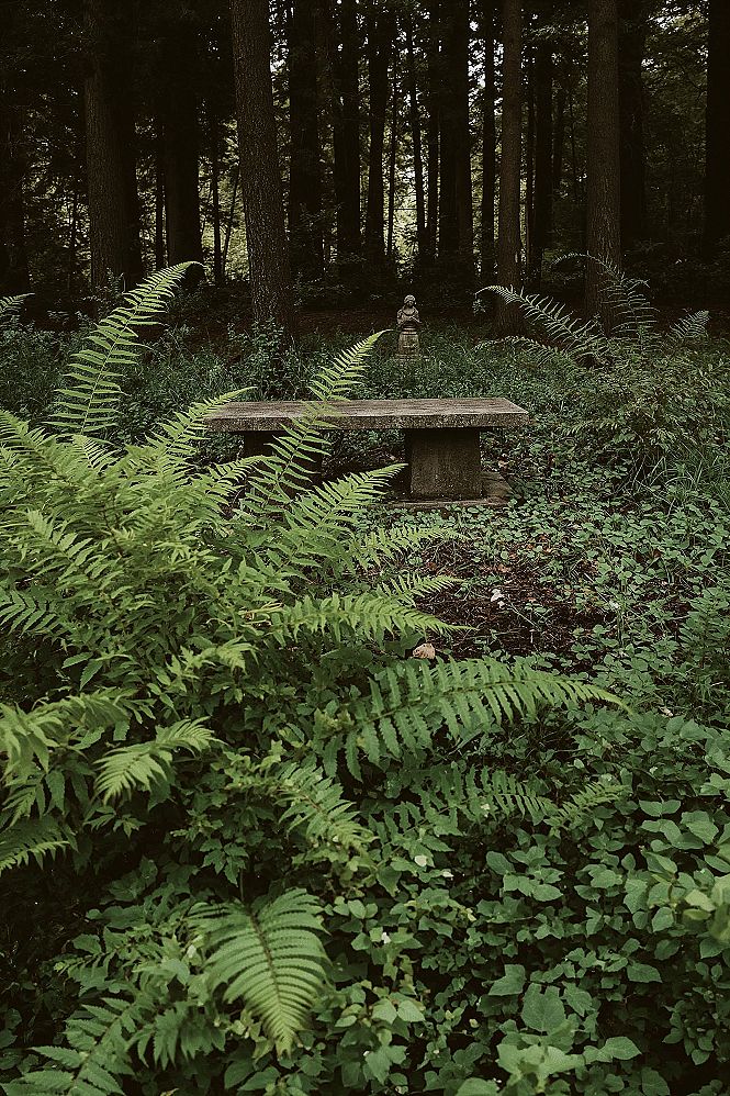 Hidden Woodland Shade Garden Retreat: Small Backyard Ideas