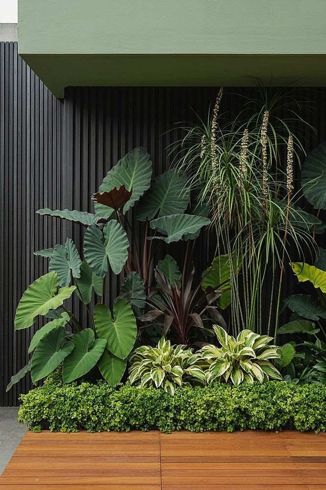 Modern Tropical Paradise: Tall Landscaping with Layered Grasses