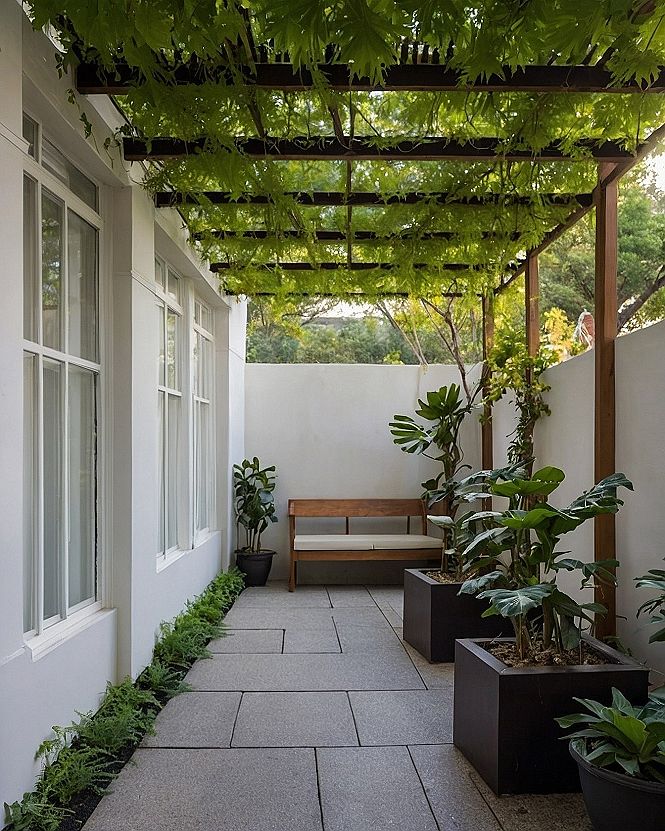 Geometric Concrete Pavers Meet Organic Canopy Foliage