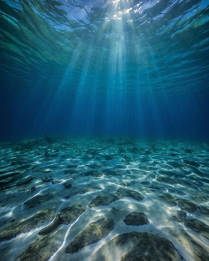 Bringing Underwater Light Rays to Your Phone Screen