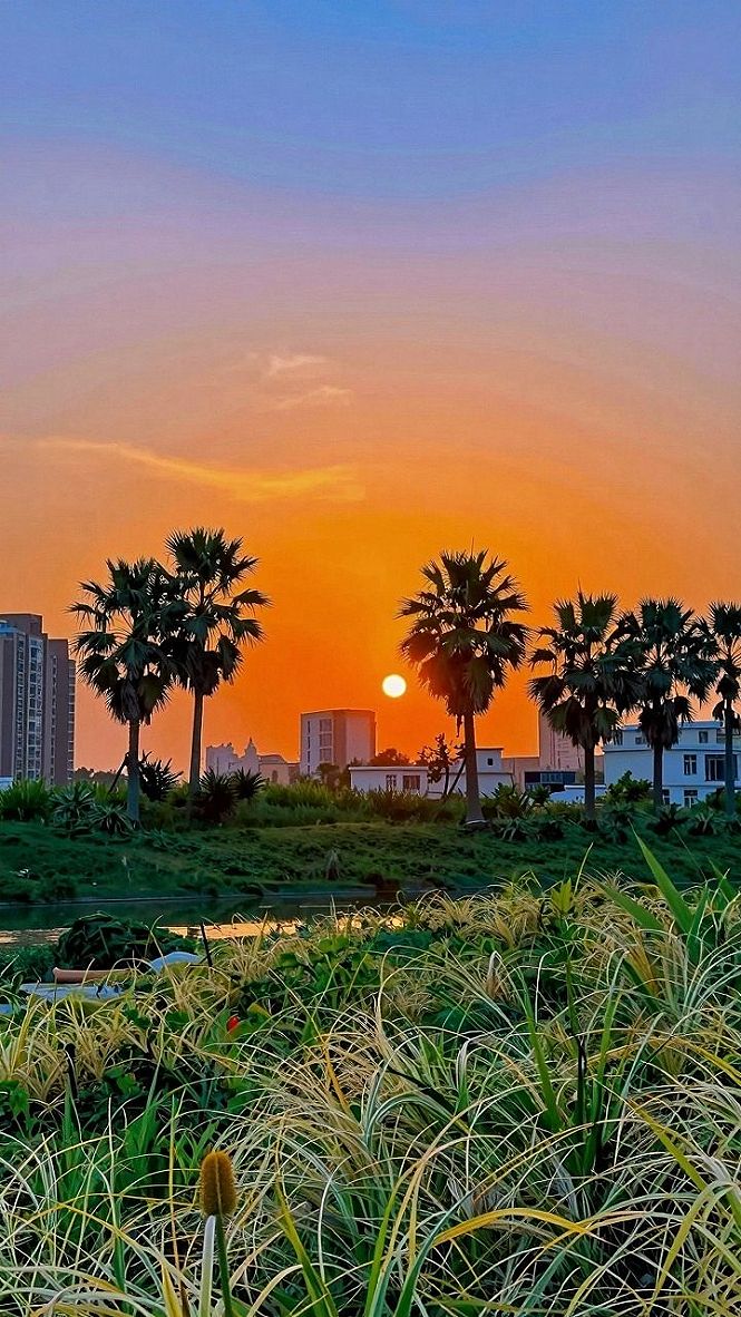 Enjoying Golden Hour Sunsets at Your Neighborhood Park