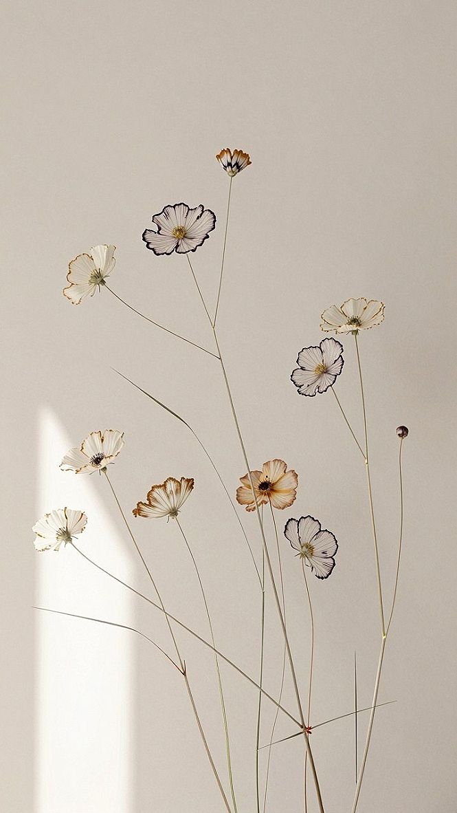Embracing Minimalist Daisy Patterns For Your Phone Background