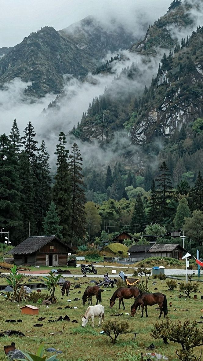 Adding Misty Mountain Valley Charm to Living Areas
