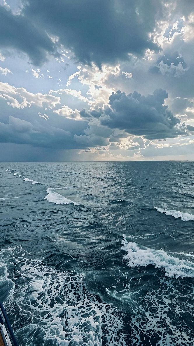 Stormy Ocean Blue Floral Phone Wallpaper Themes