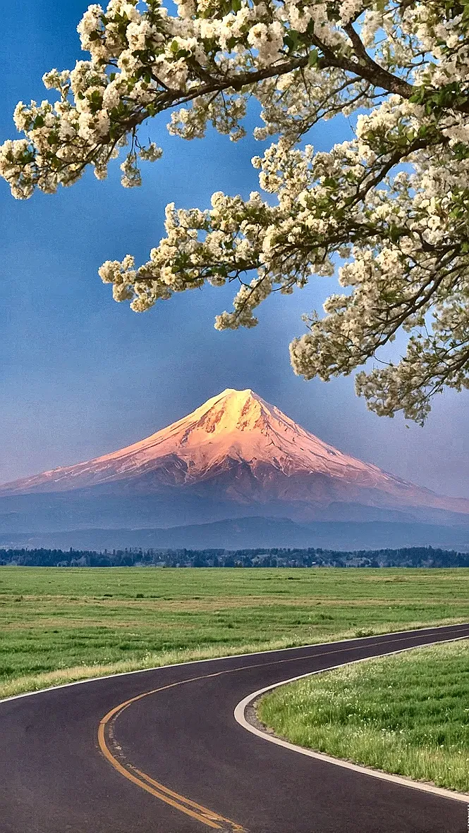 Grand Peaks, Great Views