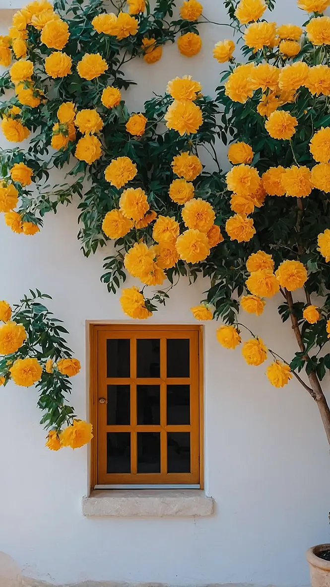 Botanical Serenity