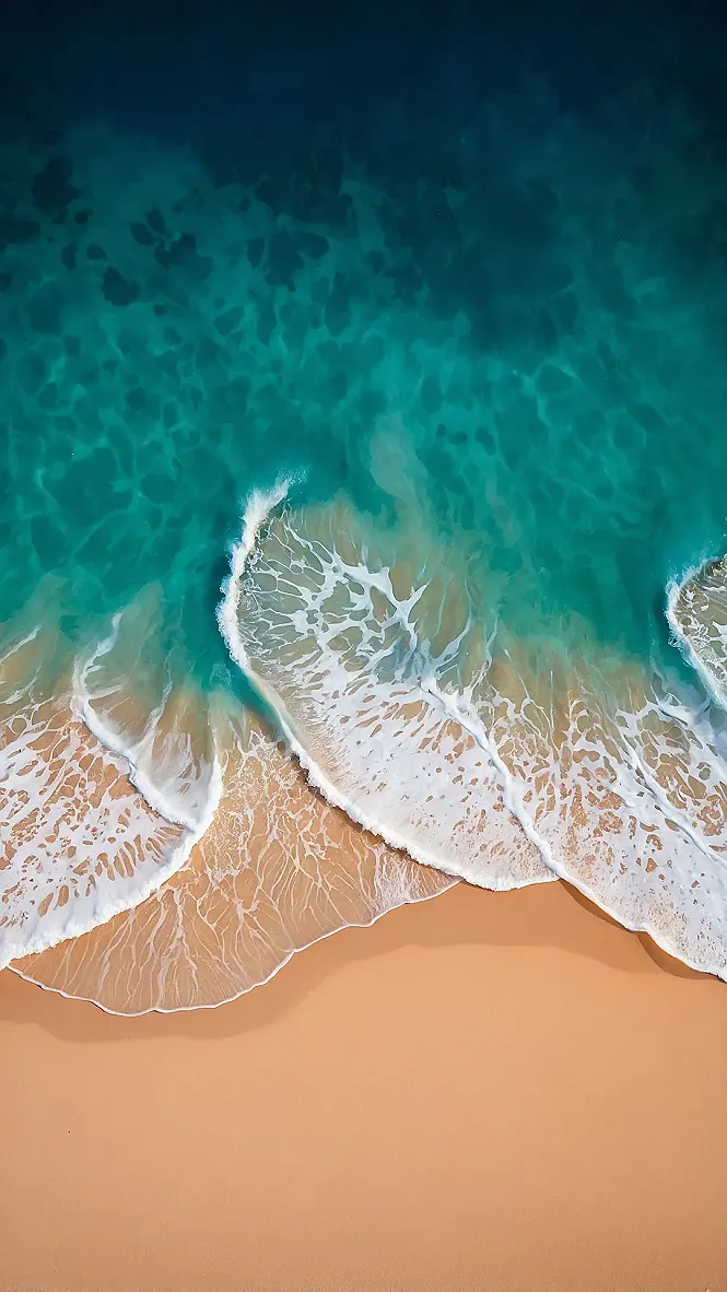 Ocean Oasis