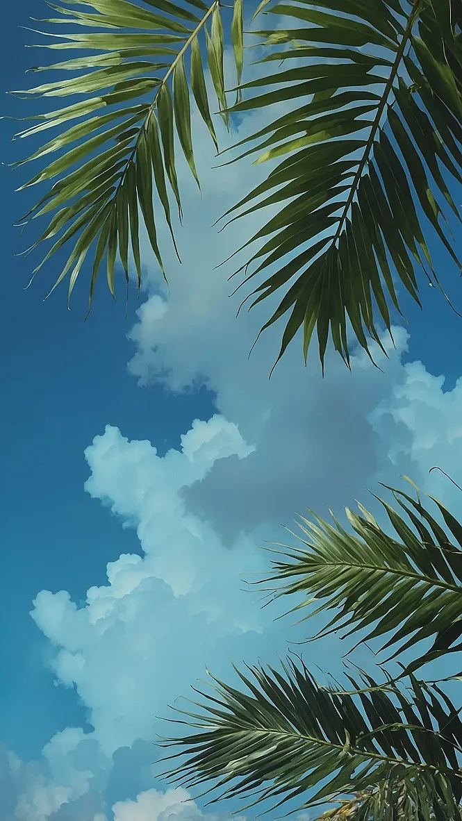 May Screen Freshener