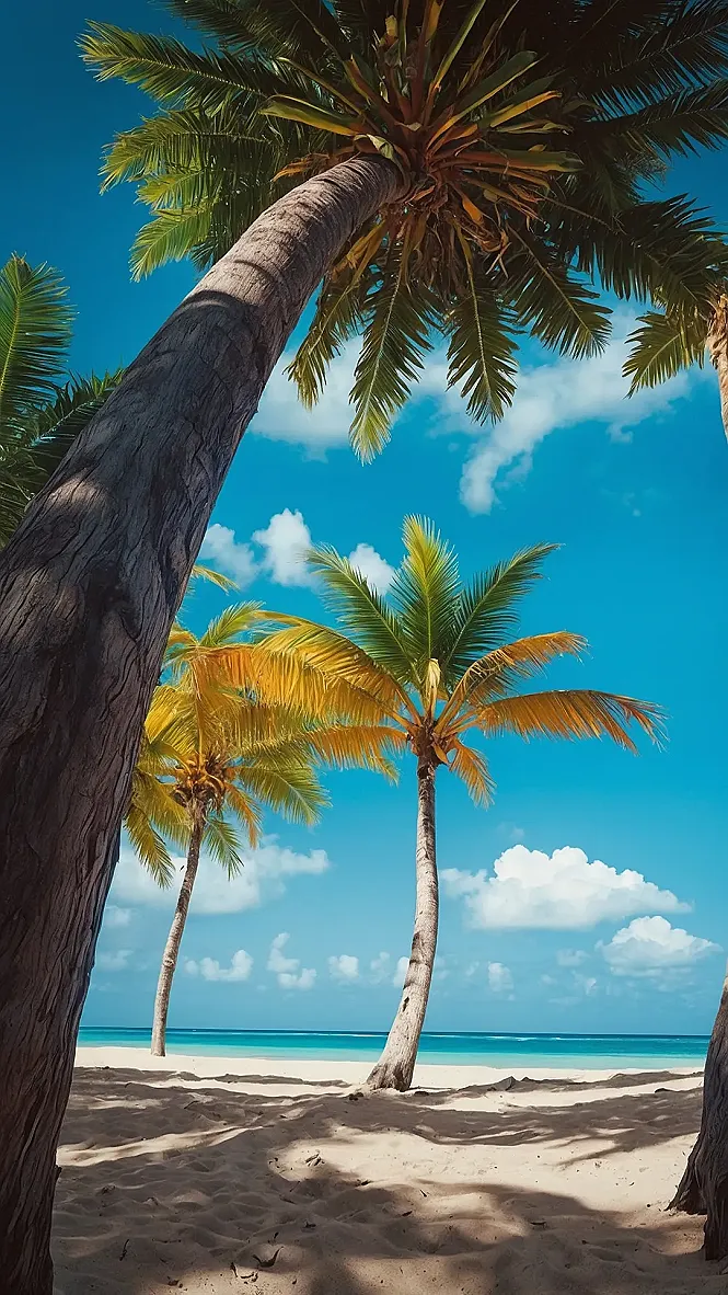 Your Personal Paradise