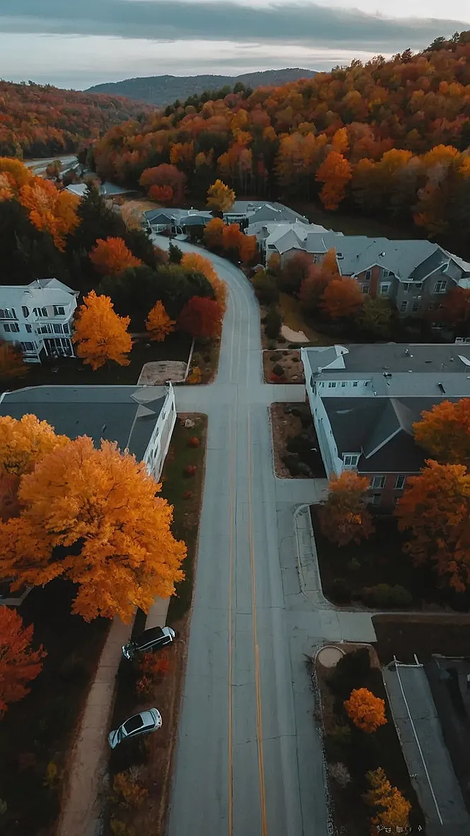 Autumn's Golden Reflection: