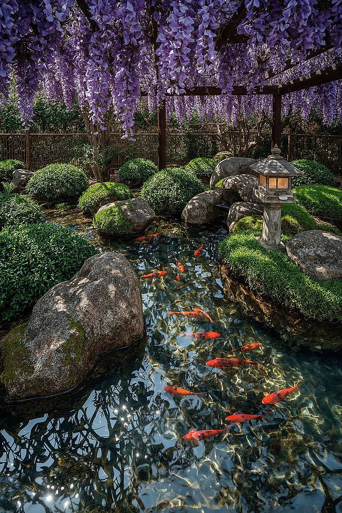 Tranquil Japanese Wisteria Garden Oasis for Your Backyard