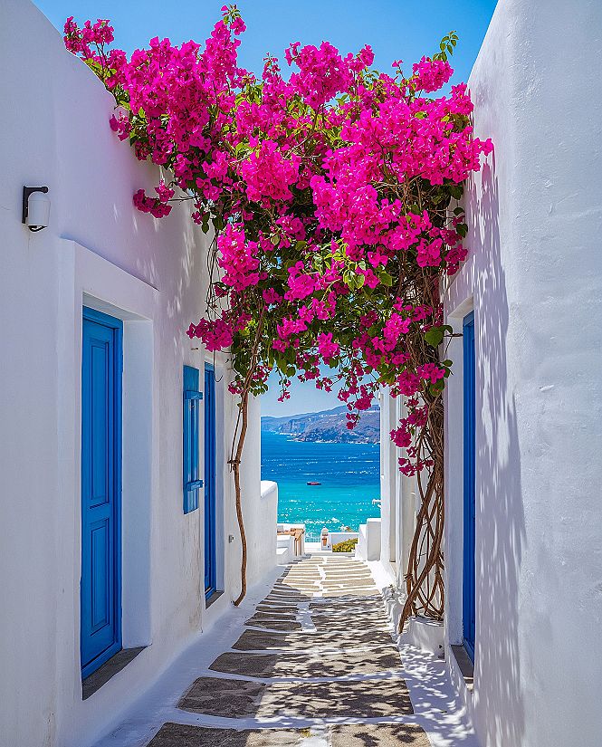 Mykonos Magic: Whitewashed Alleys & Blooming Spring Flowers