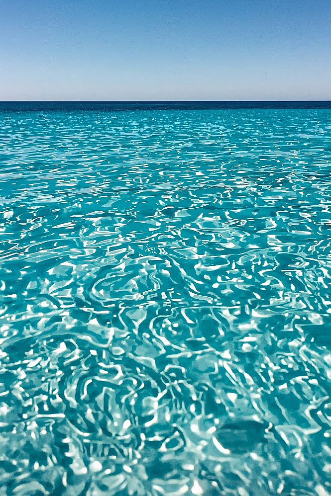 Plan Nature Hikes in Michigan's Beautiful Forests This Year