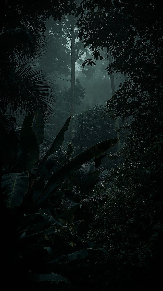 Misty Jungle Mystique: Lush Green Forest Wallpaper Escape