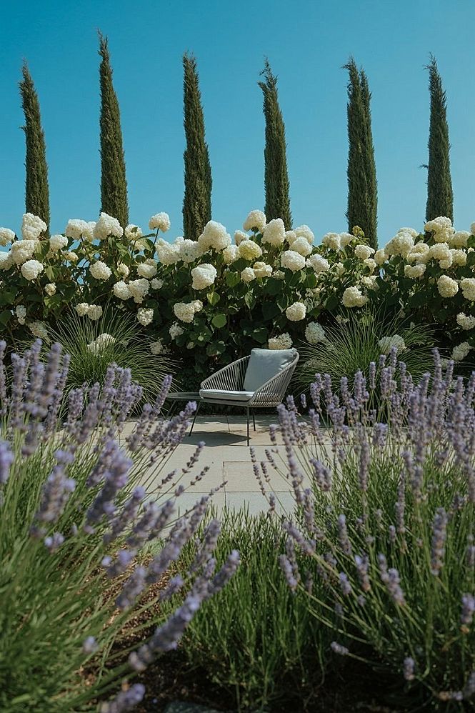 Elegant Backyard Landscaping: Privacy & Garden Design Secrets
