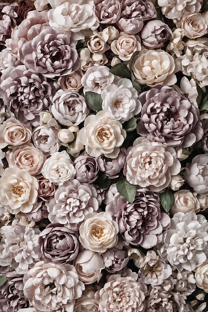 Elegant Modern Floral Art: Luxurious iPad & iPhone Wallpaper