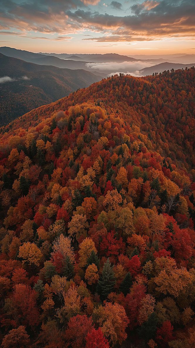 Autumn Mountain Majesty: Vibrant Foliage & Misty Valleys