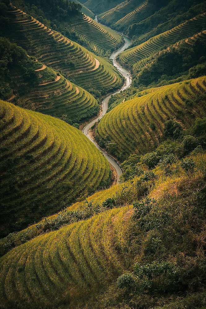 Iconic Rice Terraces at Sunset: A Global Travel Inspiration