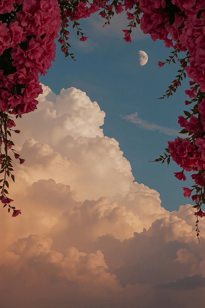 Pastel Skies & Pink Blooms: Aesthetic Landscape Wallpapers
