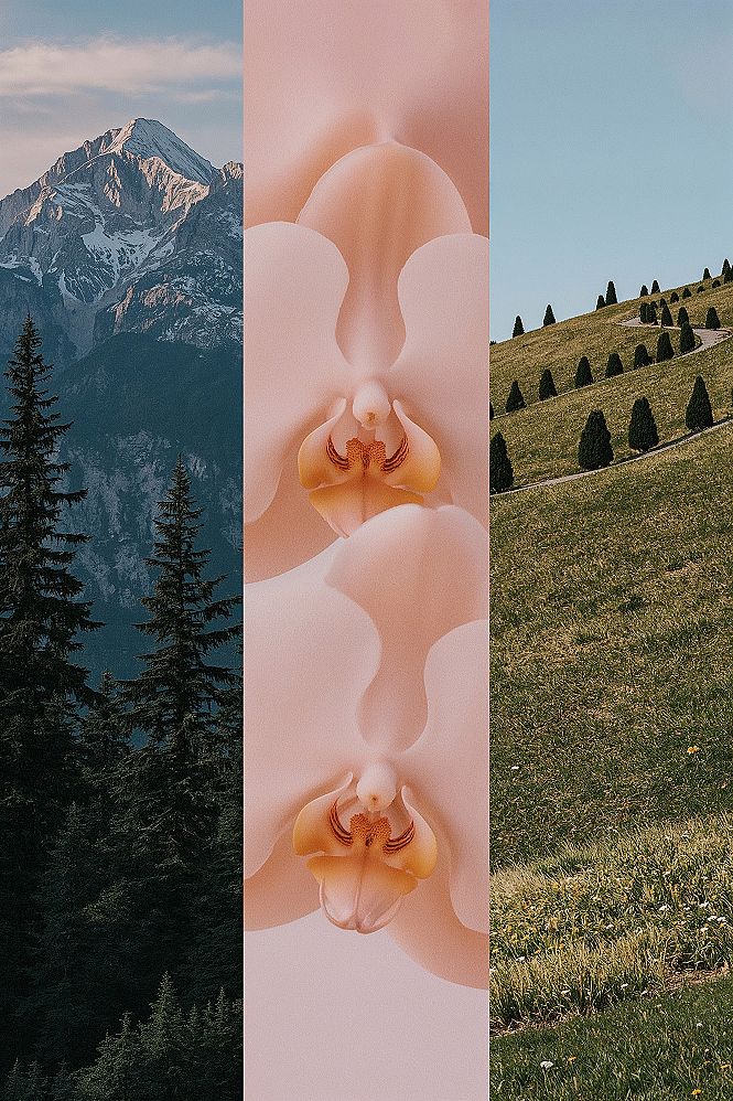 Artsy Nature Aesthetic: Realistic Wallpapers for Your Devices