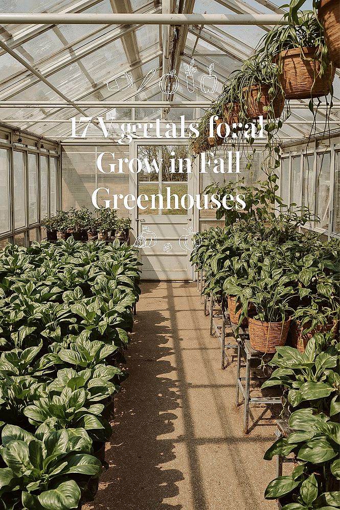 Winter Bounty: Essential Fall Planting for Your Greenhouse