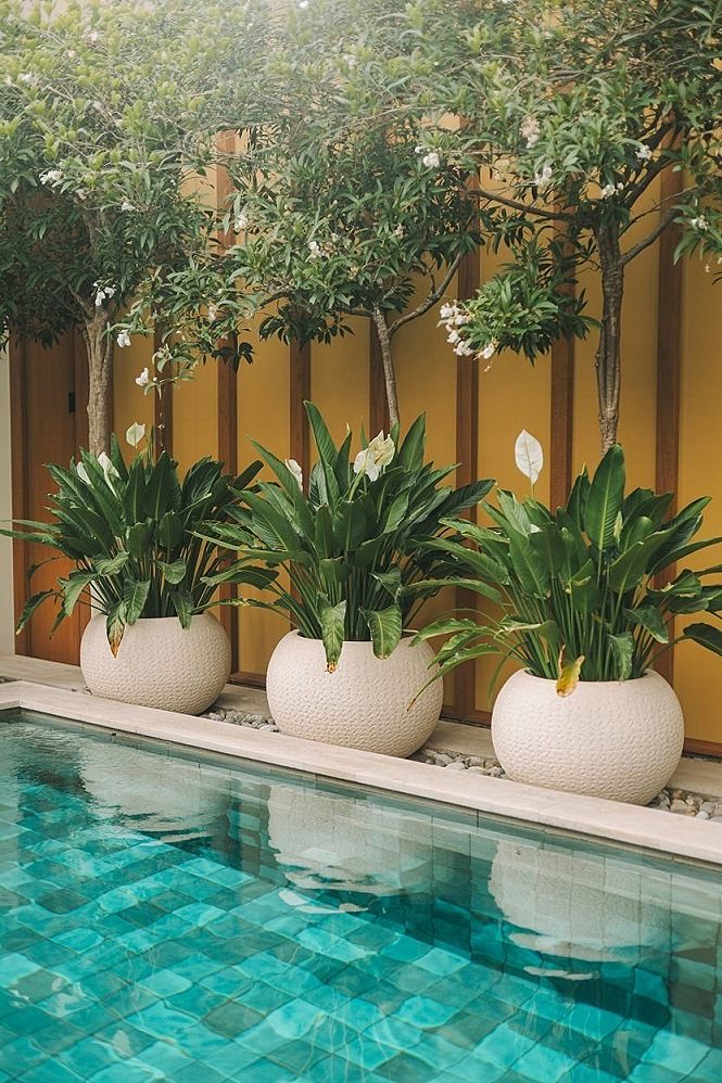 Resort Garden Ideas: Tropical Poolside Oasis