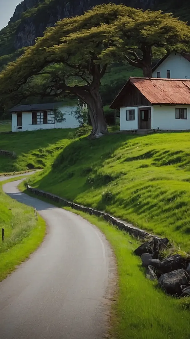 Tranquility's Winding Path