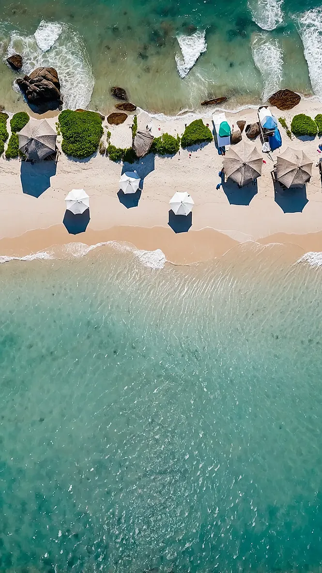 Shoreline Chronicles