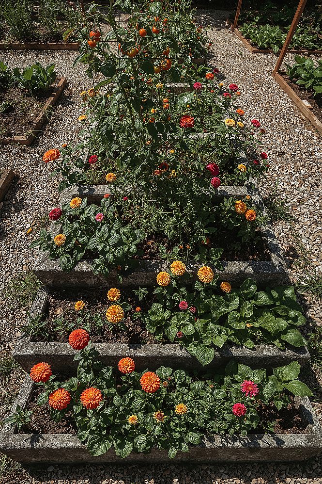 Stunning Raised Garden Design: Blending Flowers & Vegetables