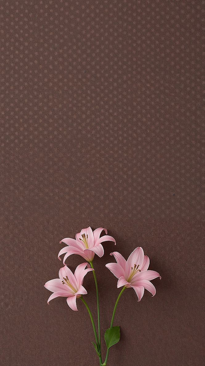 Vintage Chic: Polka Dots & Pink Flowers WhatsApp Wallpaper