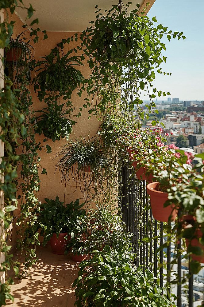 Balcony Plant Decoration: Maximizing Small Garden Spaces