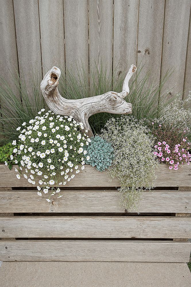 Coastal Cottage Garden: Driftwood & Rustic Charm in Flower Beds