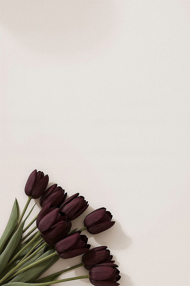 Dark Tulip Serenity: Minimalist Aesthetic iPhone Home Screen