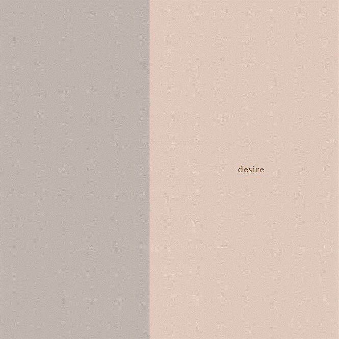 Stylish Minimalist iPhone Wallpaper Design for Couples