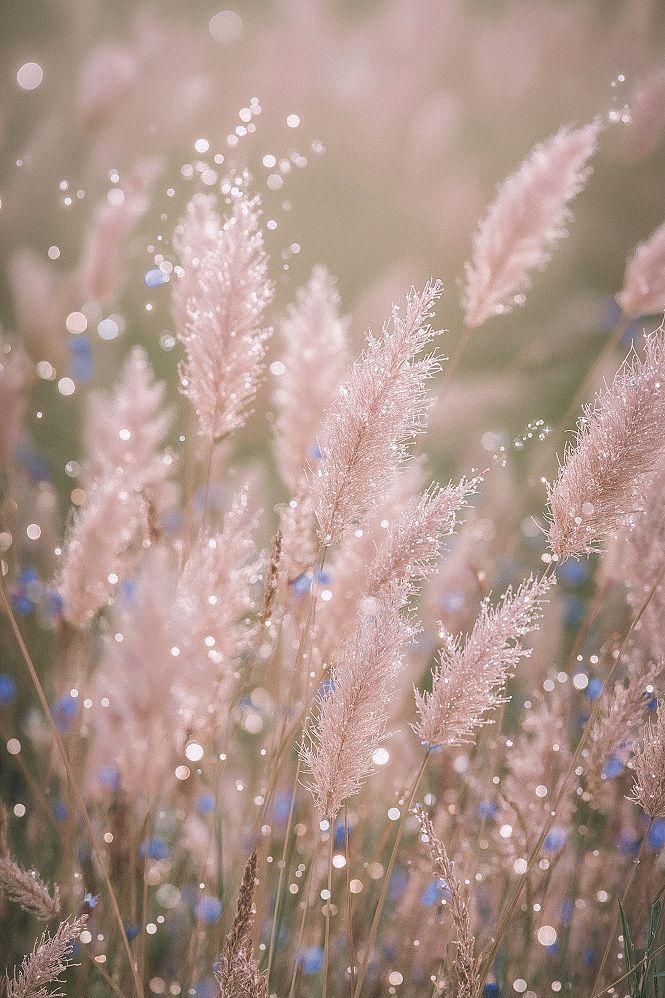Sparkly Pink & Blue Flowers: Ethereal Glittery Wallpapers