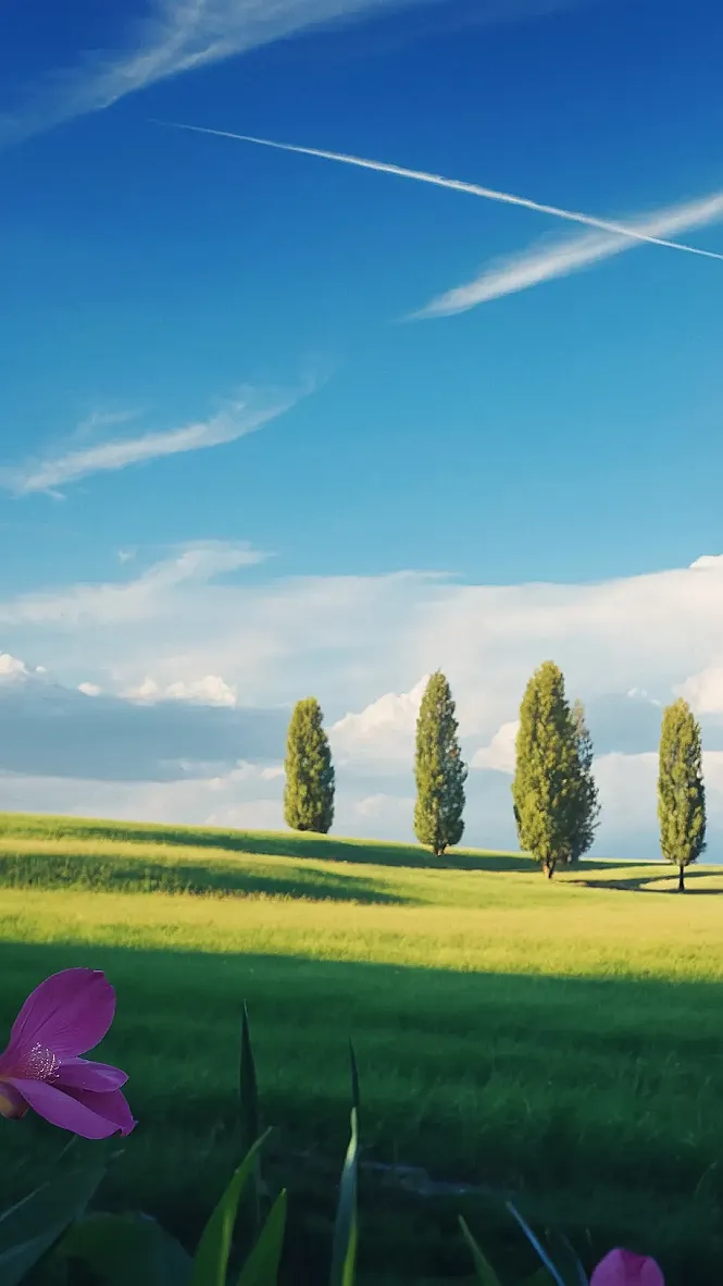 The Wave That Broke the World: