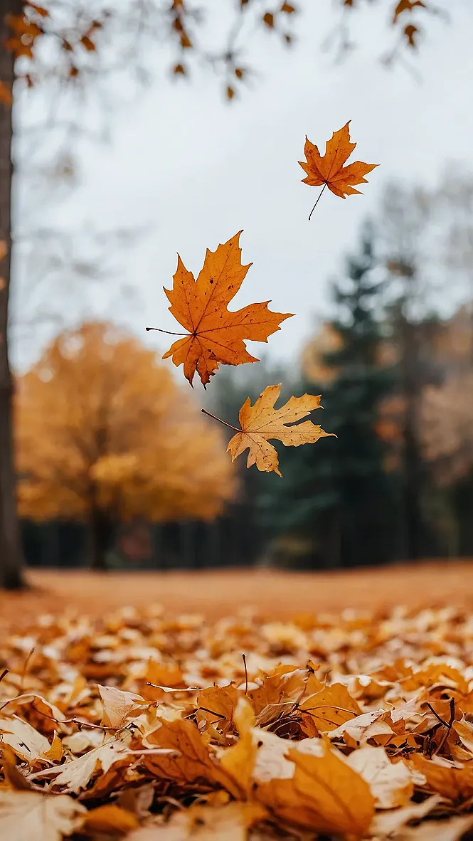 Harvest Hues for Your Handheld