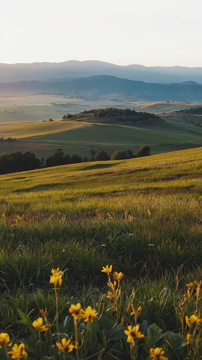 Mirror, Mirror on the Peak