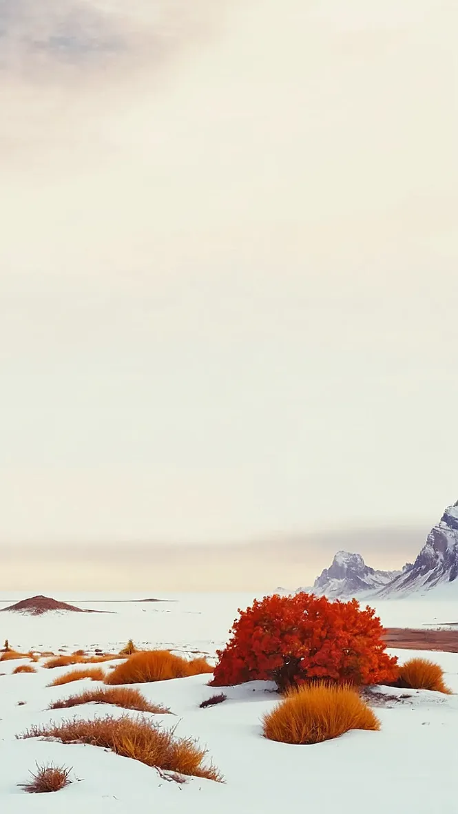 November's Unexpected Surprise